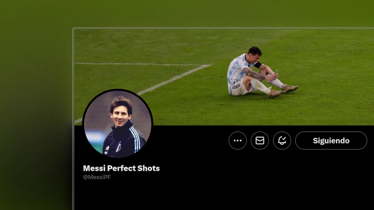 Imagen del Proyecto Messi Perfect Shots